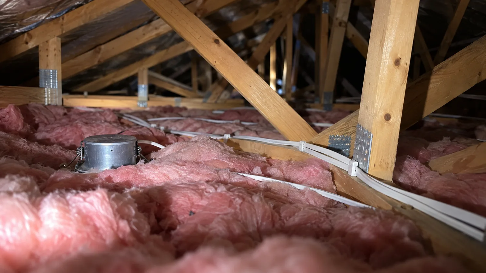 White TPS cables laid over pink ceiling insulation in a roof space, beside a downlight can.